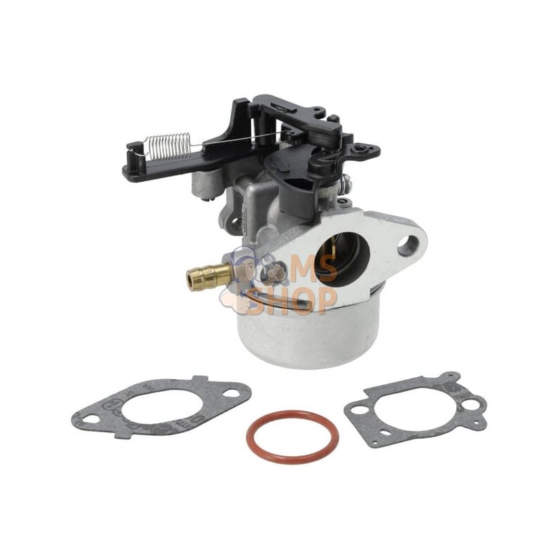 Carburateur | BRIGGS & STRATTON Carburateur | BRIGGS & STRATTONPR#408126