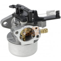 Carburateur | BRIGGS & STRATTON Carburateur | BRIGGS & STRATTONPR#408126
