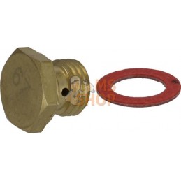 Buse principale | BRIGGS & STRATTON Buse principale | BRIGGS & STRATTONPR#102967