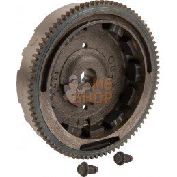 Volant d'inertie | BRIGGS & STRATTON Volant d'inertie | BRIGGS & STRATTONPR#408811