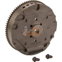Volant d'inertie | BRIGGS & STRATTON Volant d'inertie | BRIGGS & STRATTONPR#408811