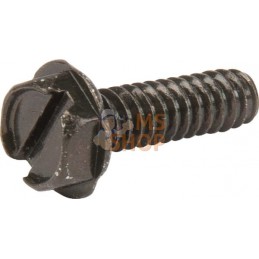 Vis | BRIGGS & STRATTON Vis | BRIGGS & STRATTONPR#102977