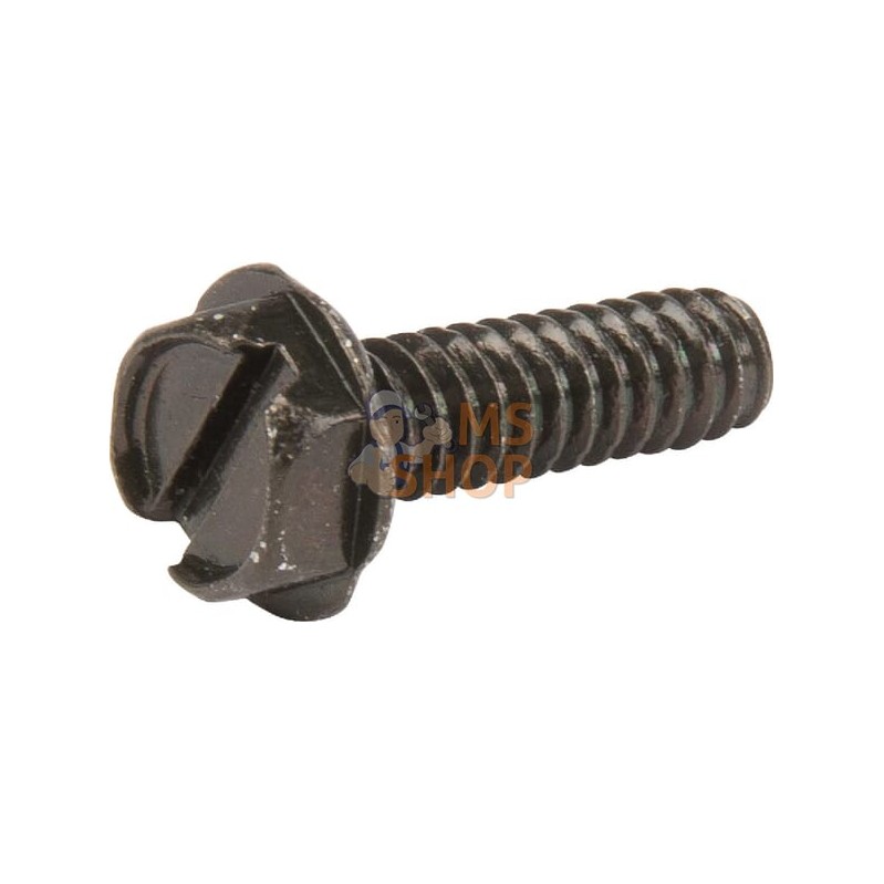 Vis | BRIGGS & STRATTON Vis | BRIGGS & STRATTONPR#102977