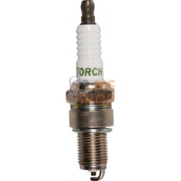 Bougie F6TC | BRIGGS & STRATTON Bougie F6TC | BRIGGS & STRATTONPR#211833