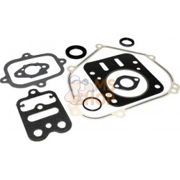 Kit de joints moteur | BRIGGS & STRATTON Kit de joints moteur | BRIGGS & STRATTONPR#408791