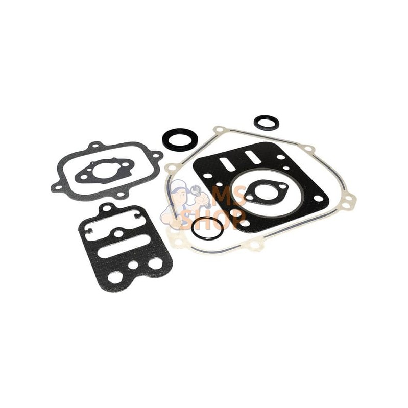 Kit de joints moteur | BRIGGS & STRATTON Kit de joints moteur | BRIGGS & STRATTONPR#408791