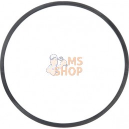 Joint de cuve à flotteur | BRIGGS & STRATTON Joint de cuve à flotteur | BRIGGS & STRATTONPR#408668