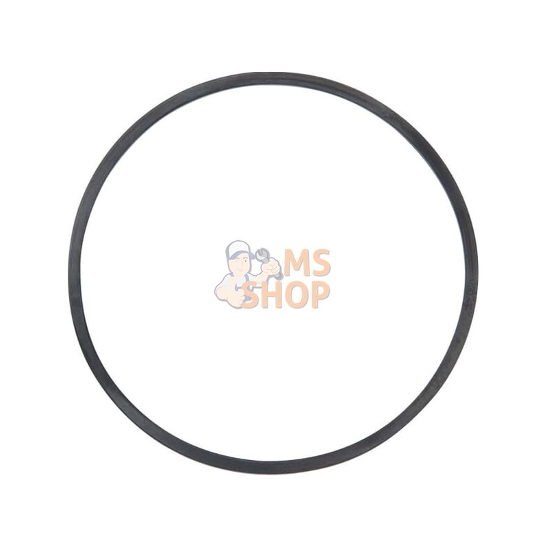 Joint de cuve à flotteur | BRIGGS & STRATTON Joint de cuve à flotteur | BRIGGS & STRATTONPR#408668