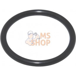 Joint torique | BRIGGS & STRATTON Joint torique | BRIGGS & STRATTONPR#408809