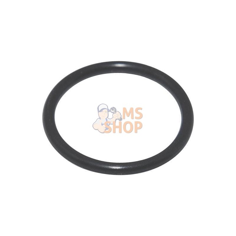 Joint torique | BRIGGS & STRATTON Joint torique | BRIGGS & STRATTONPR#408809