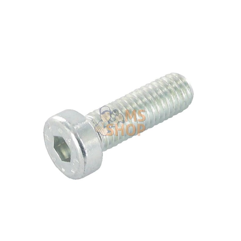 Vis à tête cylindrique basse à 6 pans creux M6x14 galv | KRAMP Vis à tête cylindrique basse à 6 pans creux M6x14 galv | KRAMPPR#