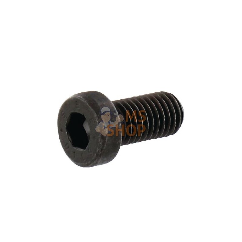 Vis à tête cylindrique basse à 6 pans creux 10x20 10.9 | KRAMP Vis à tête cylindrique basse à 6 pans creux 10x20 10.9 | KRAMPPR#