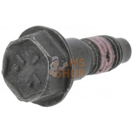Vis | BRIGGS & STRATTON Vis | BRIGGS & STRATTONPR#400328