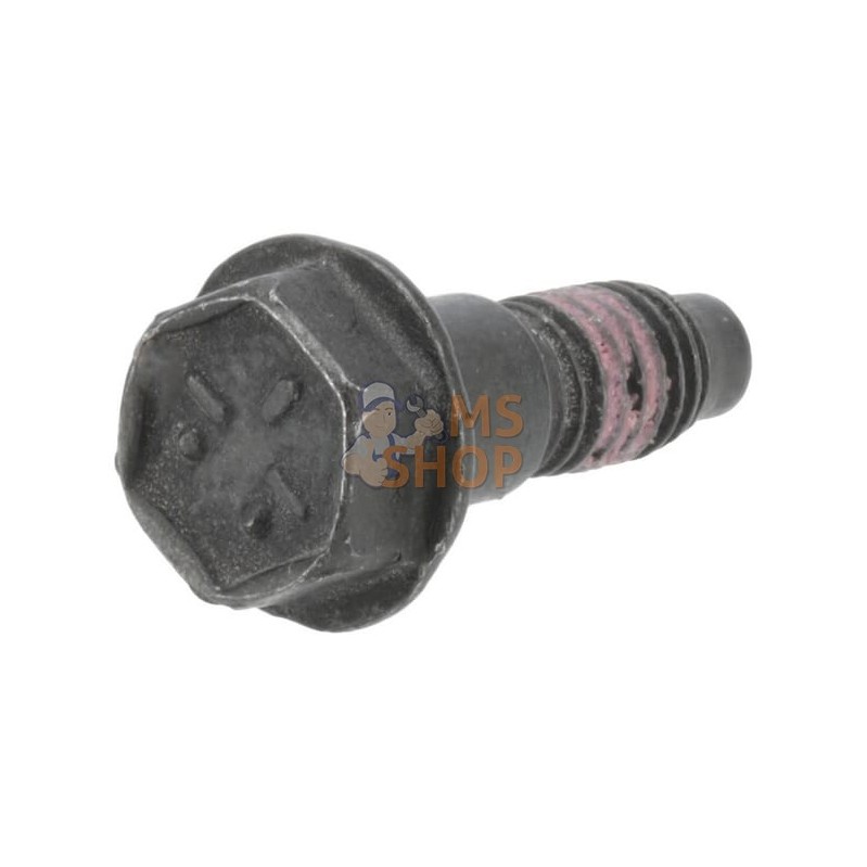Vis | BRIGGS & STRATTON Vis | BRIGGS & STRATTONPR#400328