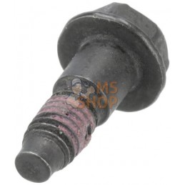 Vis | BRIGGS & STRATTON Vis | BRIGGS & STRATTONPR#400328