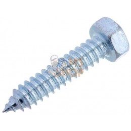 Vis auto-perforante 8x38mm,tête hexagonale de 13 mm, DIN 7976C Kramp | KRAMP Vis auto-perforante 8x38mm,tête hexagonale de 13 mm