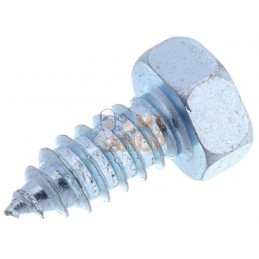 Vis auto-perforante 8x19mm,tête hexagonale de 13 mm, DIN 7976C Kramp | KRAMP Vis auto-perforante 8x19mm,tête hexagonale de 13 mm