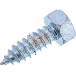 Vis auto-perforante 6.3x19mm,tête hexagonale de 10 mm, DIN 7976C Kramp | KRAMP Vis auto-perforante 6.3x19mm,tête hexagonale de 1