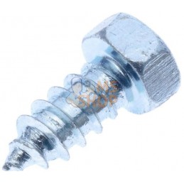 Vis auto-perforante 5.5x13mm, tête hexagonale 8 mm, DIN 7976C Kramp | KRAMP Vis auto-perforante 5.5x13mm, tête hexagonale 8 mm, 