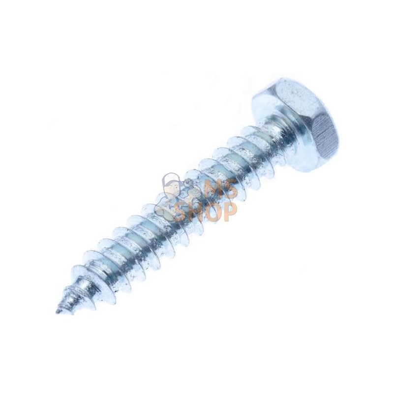 Vis auto-perforante 4,8x25mm, tête hexagonale 8mm, DIN 7976C Kramp | KRAMP Vis auto-perforante 4,8x25mm, tête hexagonale 8mm, DI