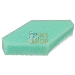 Filtre de purificateur d’air | BRIGGS & STRATTON Filtre de purificateur d’air | BRIGGS & STRATTONPR#405413