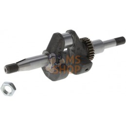 Vilebrequin | BRIGGS & STRATTON Vilebrequin | BRIGGS & STRATTONPR#399224