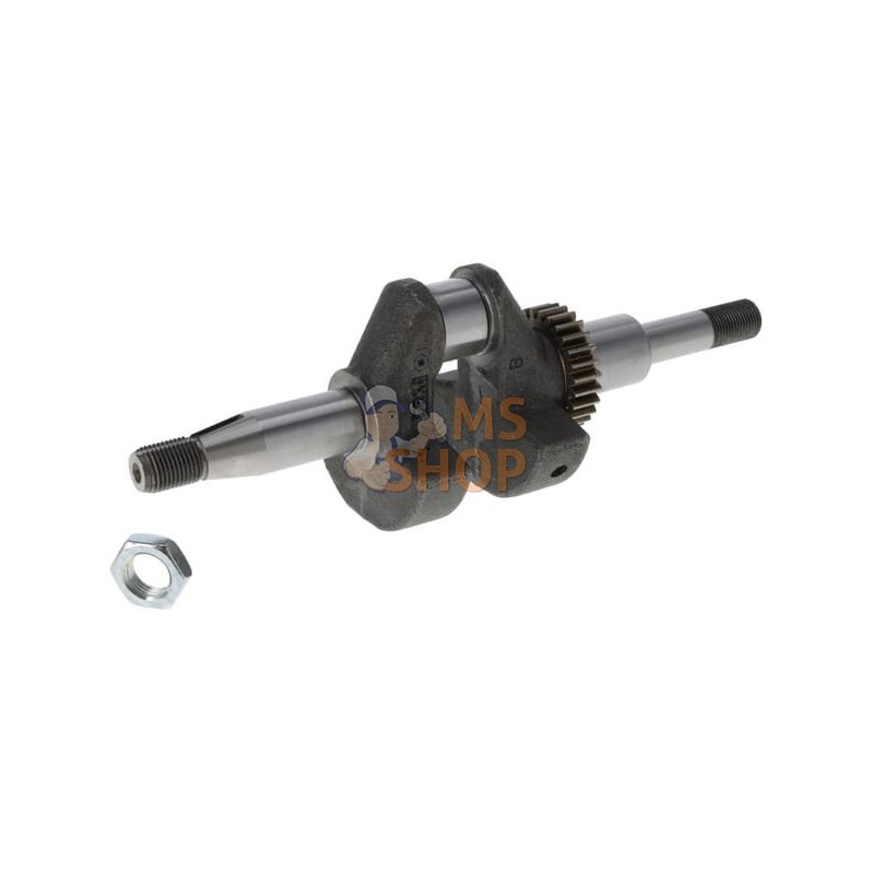 Vilebrequin | BRIGGS & STRATTON Vilebrequin | BRIGGS & STRATTONPR#399224 Vilebrequin | BRIGGS & STRATTON Vilebrequin | BRIGGS & STRATTONPR#399224