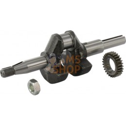 Vilebrequin | BRIGGS & STRATTON Vilebrequin | BRIGGS & STRATTONPR#42844