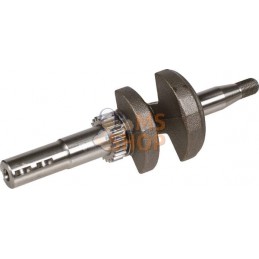 Vilebrequin | BRIGGS & STRATTON Vilebrequin | BRIGGS & STRATTONPR#42842