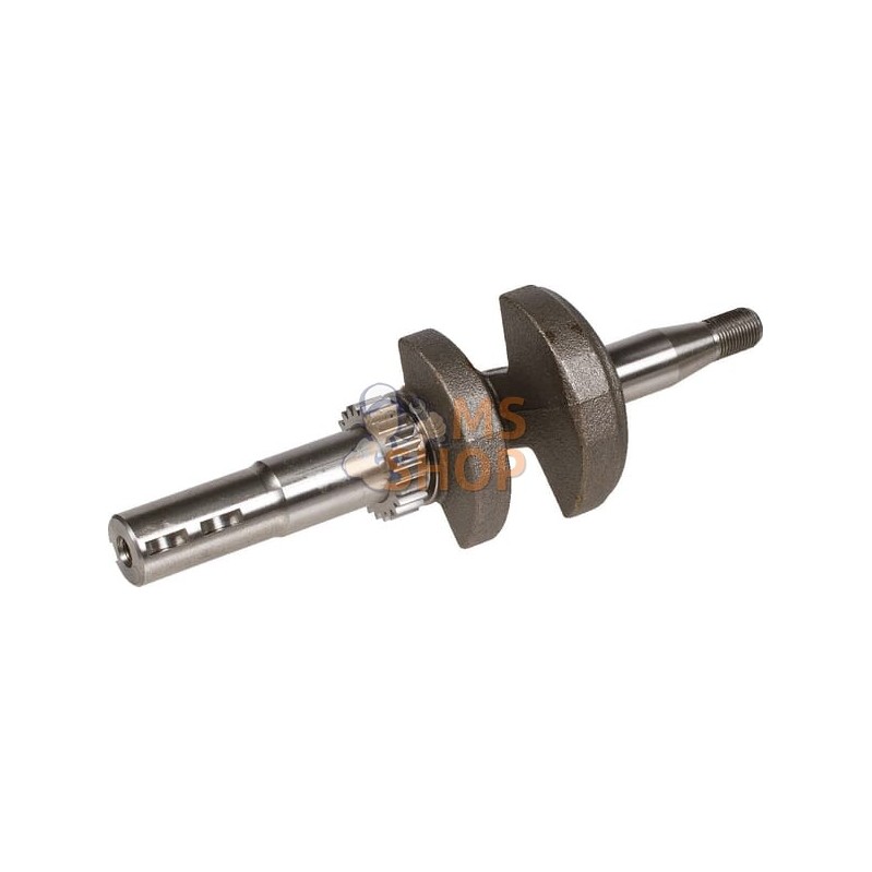 Vilebrequin | BRIGGS & STRATTON Vilebrequin | BRIGGS & STRATTONPR#42842