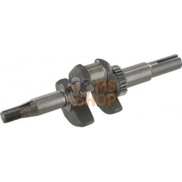 Vilebrequin 22,2 x 62mm | BRIGGS & STRATTON Vilebrequin 22,2 x 62mm | BRIGGS & STRATTONPR#42848