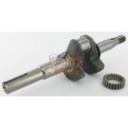 Vilebrequin | BRIGGS & STRATTON Vilebrequin | BRIGGS & STRATTONPR#42841