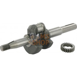 Vilebrequin | BRIGGS & STRATTON Vilebrequin | BRIGGS & STRATTONPR#42841