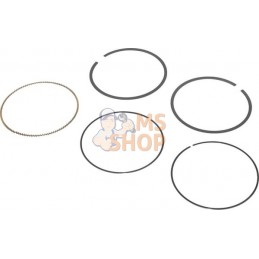 Kit de segments std | BRIGGS & STRATTON Kit de segments std | BRIGGS & STRATTONPR#408433