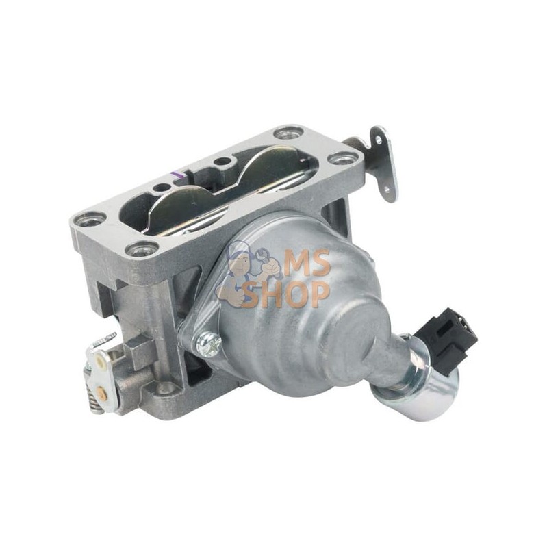 Carburateur | BRIGGS & STRATTON Carburateur | BRIGGS & STRATTONPR#404125 Carburateur | BRIGGS & STRATTON Carburateur | BRIGGS & STRATTONPR#404125
