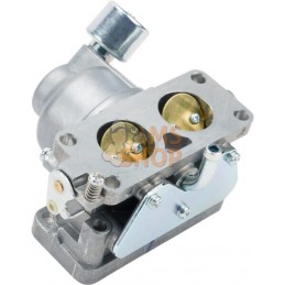 Carburateur | BRIGGS & STRATTON Carburateur | BRIGGS & STRATTONPR#404125