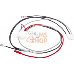 Faisceau de câbles | BRIGGS & STRATTON Faisceau de câbles | BRIGGS & STRATTONPR#404116