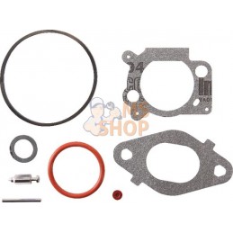 Kit de réparation carburateur | BRIGGS & STRATTON Kit de réparation carburateur | BRIGGS & STRATTONPR#211352