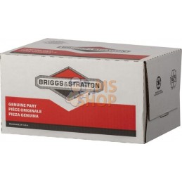 Ventilateur de volant | BRIGGS & STRATTON Ventilateur de volant | BRIGGS & STRATTONPR#42788