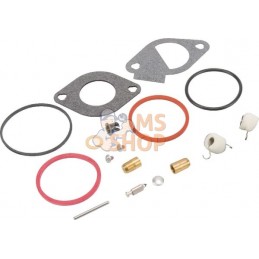 Kit remise en état carburateur | BRIGGS & STRATTON Kit remise en état carburateur | BRIGGS & STRATTONPR#408519