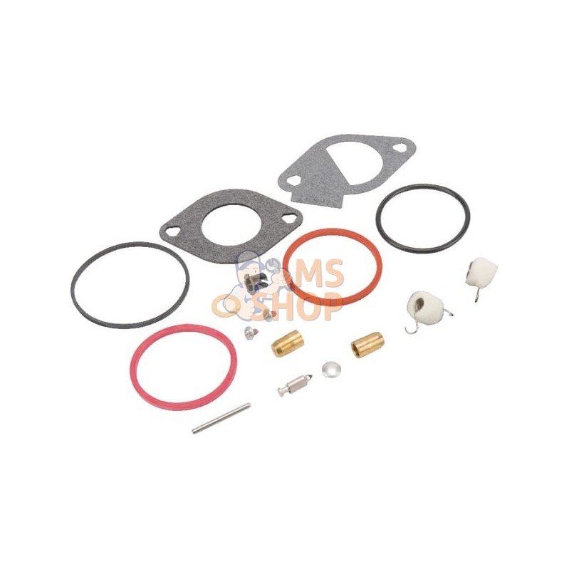 Kit remise en état carburateur | BRIGGS & STRATTON Kit remise en état carburateur | BRIGGS & STRATTONPR#408519