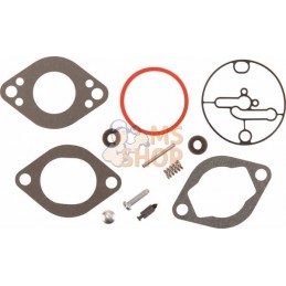 Kit remise en état carburateur | BRIGGS & STRATTON Kit remise en état carburateur | BRIGGS & STRATTONPR#404105