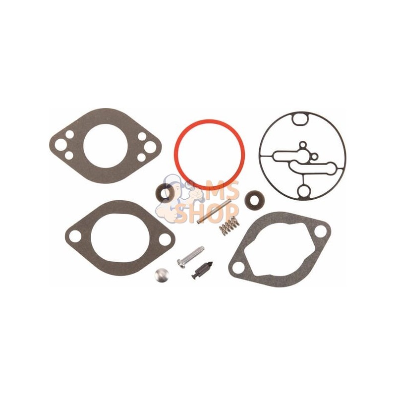 Kit remise en état carburateur | BRIGGS & STRATTON Kit remise en état carburateur | BRIGGS & STRATTONPR#404105
