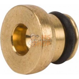 Buse principale | BRIGGS & STRATTON Buse principale | BRIGGS & STRATTONPR#408590