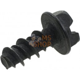 Vis | BRIGGS & STRATTON Vis | BRIGGS & STRATTONPR#408435