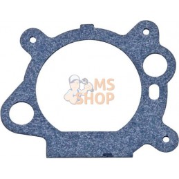Joint de filtre | BRIGGS & STRATTON Joint de filtre | BRIGGS & STRATTONPR#25417