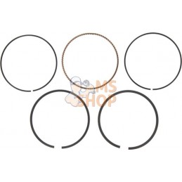 Jeu segments -020 | BRIGGS & STRATTON Jeu segments -020 | BRIGGS & STRATTONPR#408597