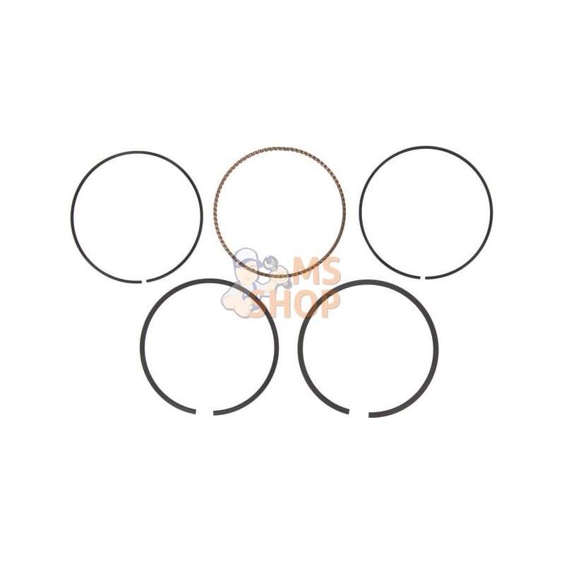 Jeu segments -020 | BRIGGS & STRATTON Jeu segments -020 | BRIGGS & STRATTONPR#408597