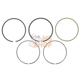 Kit de segments std | BRIGGS & STRATTON Kit de segments std | BRIGGS & STRATTONPR#26325