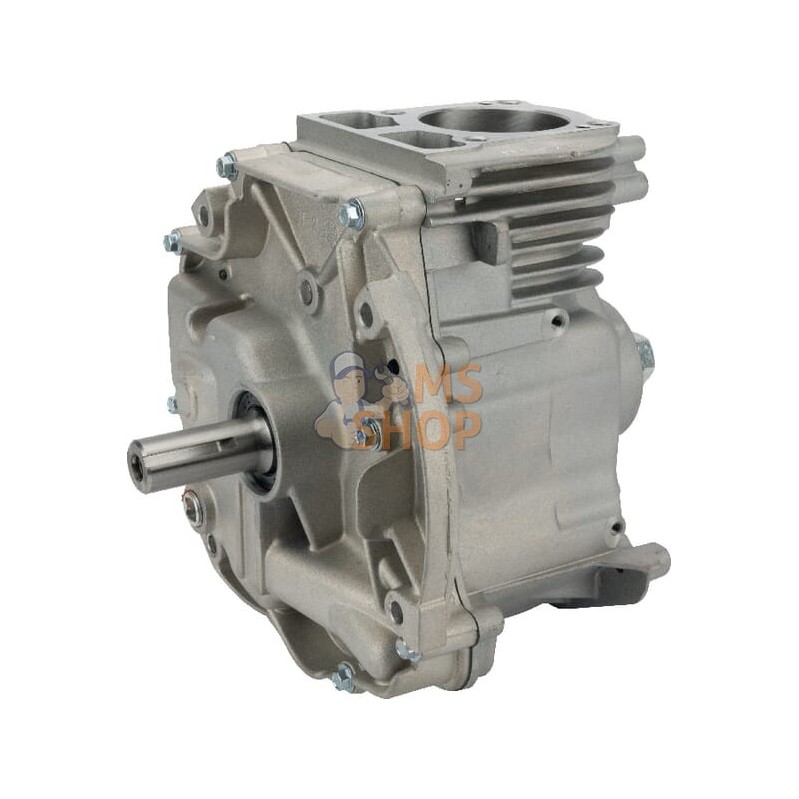 Shortblock modèle 1008 DOV | BRIGGS & STRATTON Shortblock modèle 1008 DOV | BRIGGS & STRATTONPR#405480